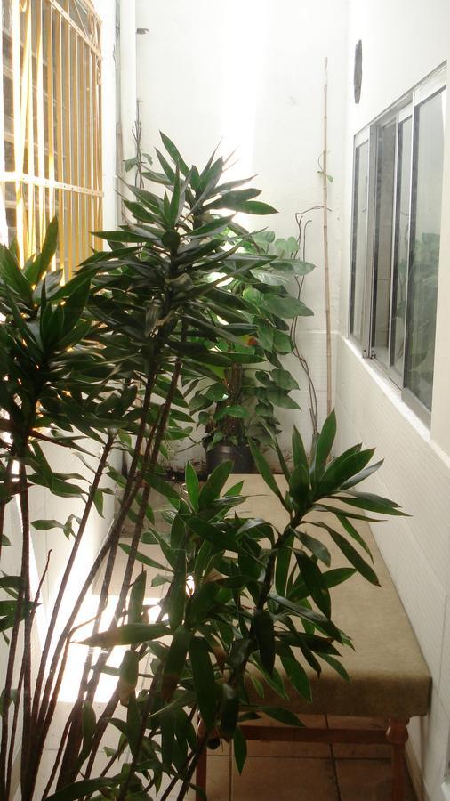 Ibirapuera Albergue São Paulo